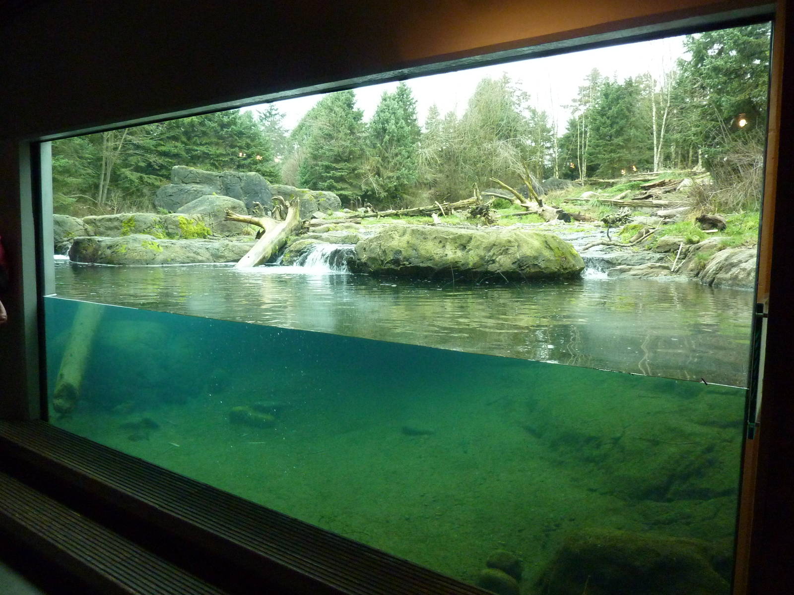 Grizzly Bear Exhibit