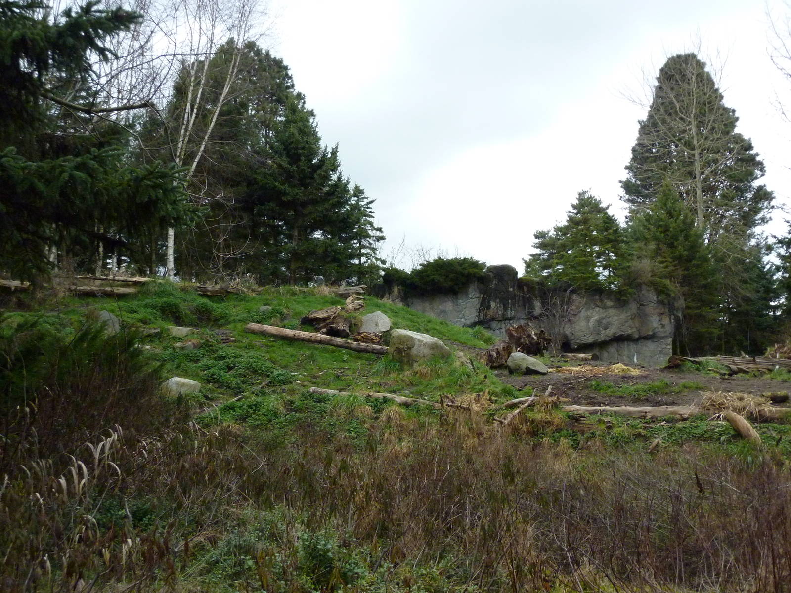 Grizzly Bear Exhibit