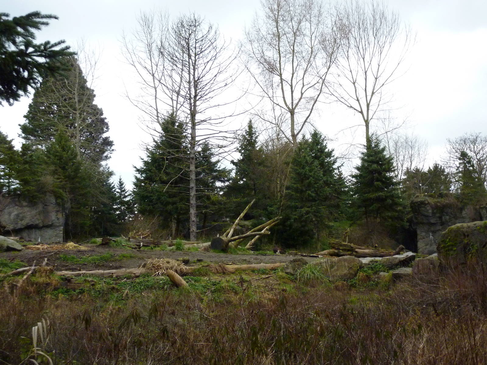 Grizzly Bear Exhibit
