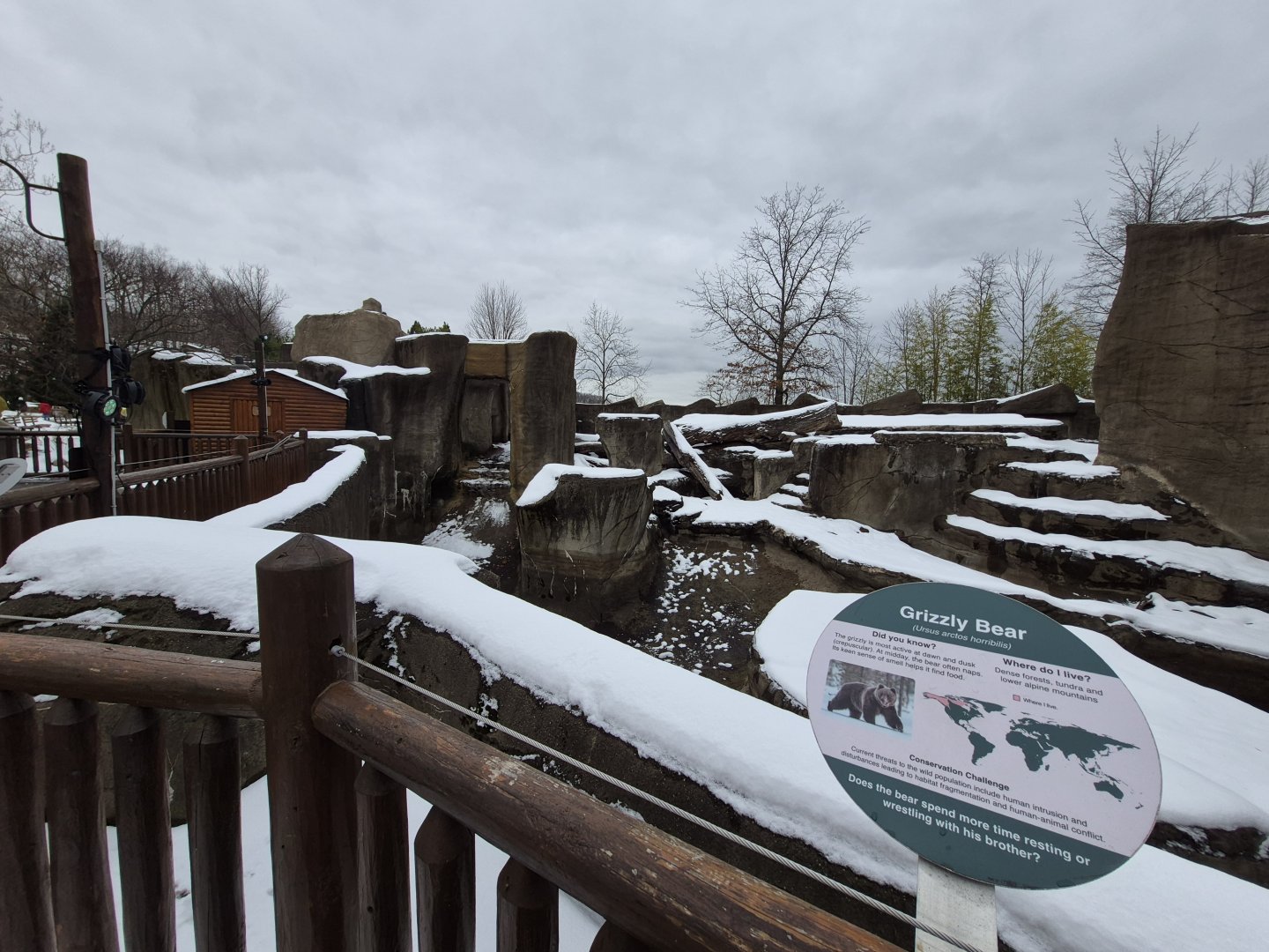 Grizzly Bear Exhibit