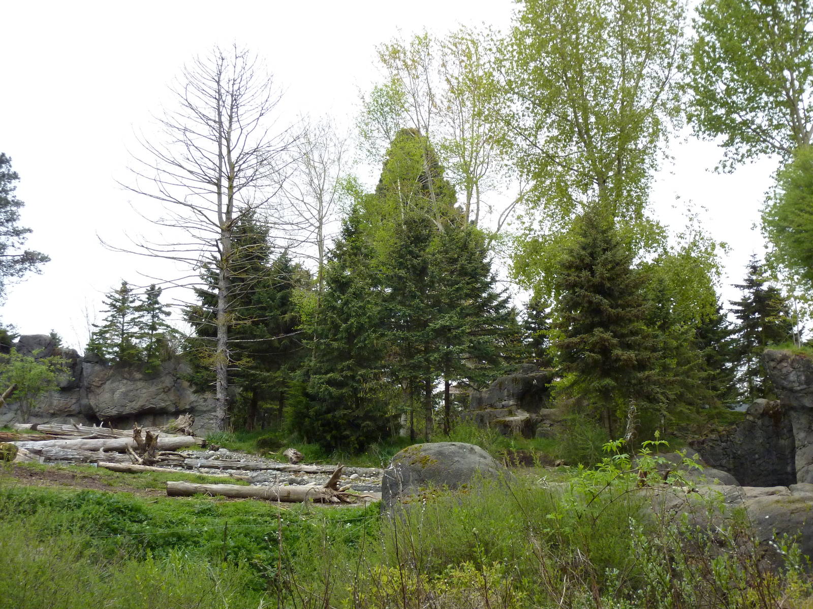 Grizzly Bear Exhibit