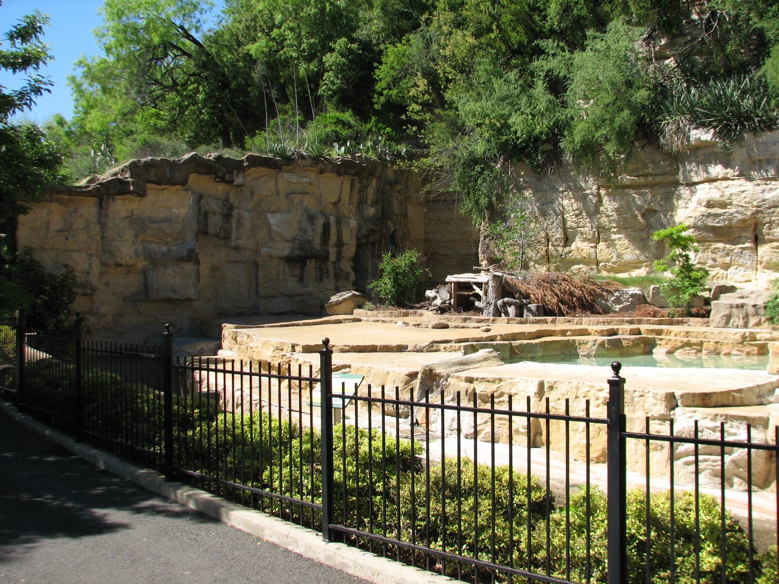 Grizzly Bear Exhibit