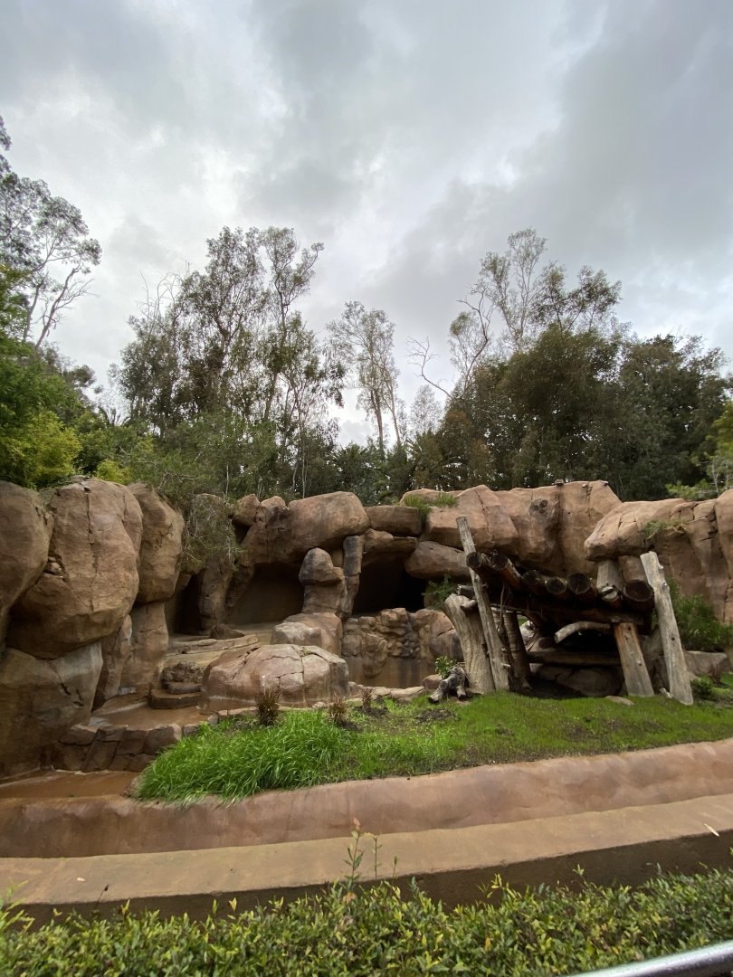 Grizzly Bear Grotto - Center Street