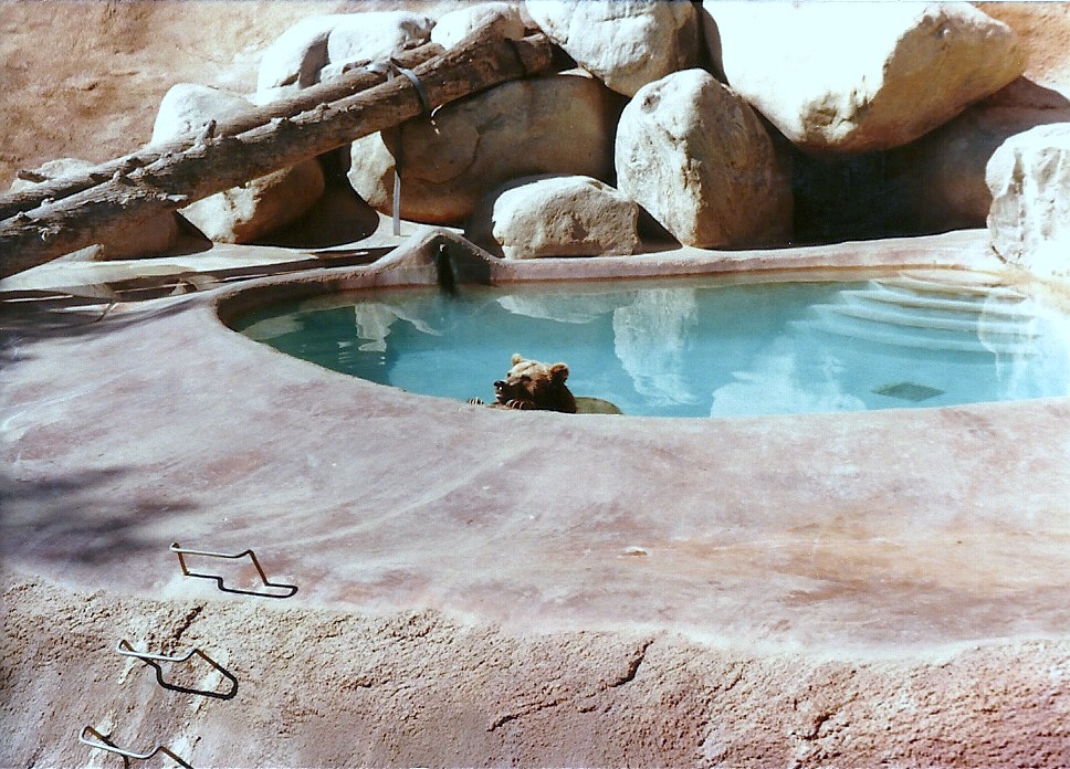Grizzly Bear Grotto - Circa 1982