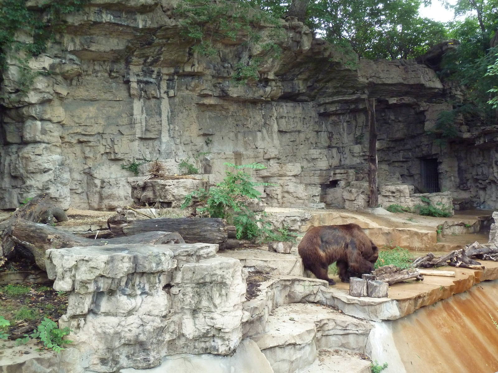 Grizzly Bear Grotto