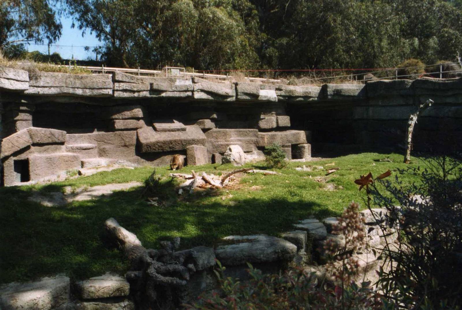 Grizzly Bear Grottos