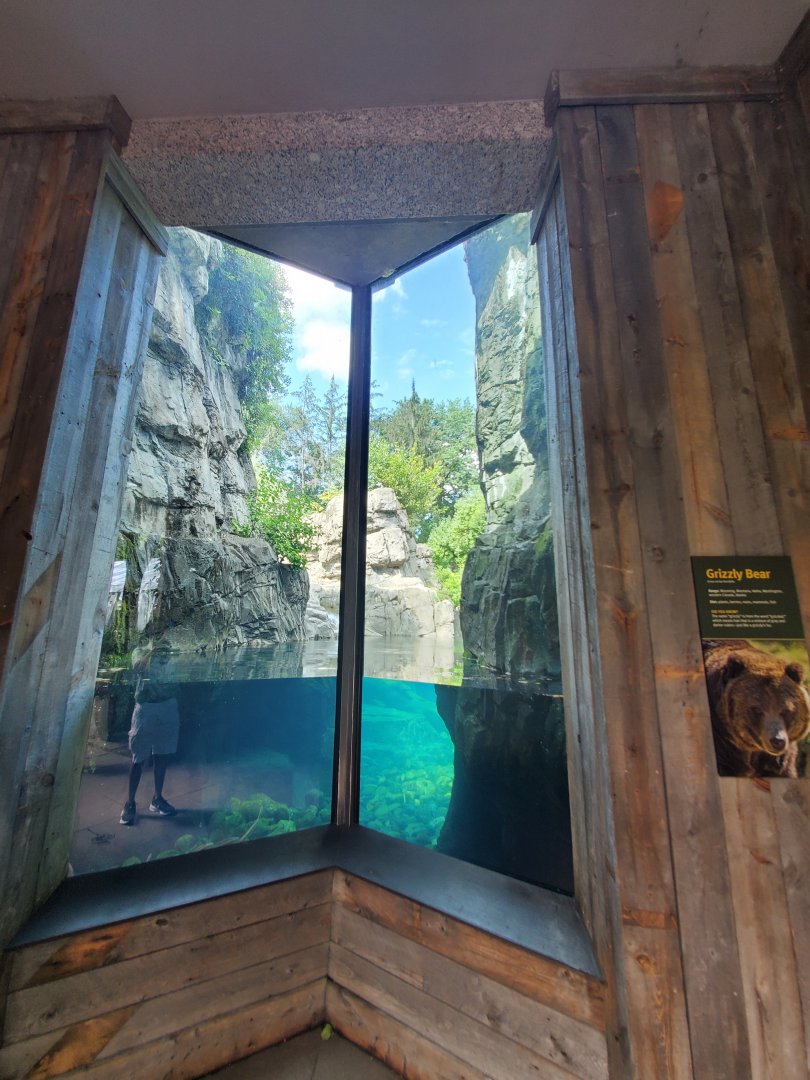 Grizzly Bear Habitat - August 2021