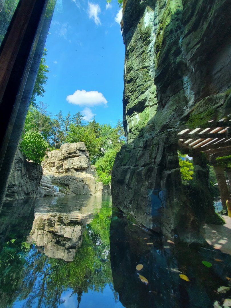 Grizzly Bear Habitat - August 2021