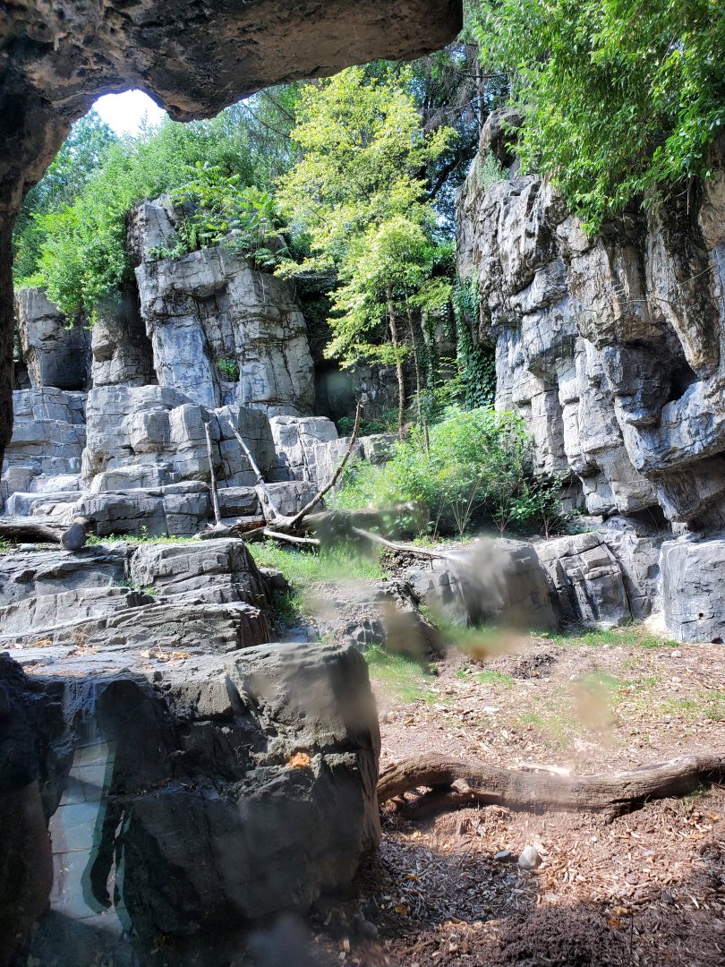 Grizzly Bear Habitat - August 2021