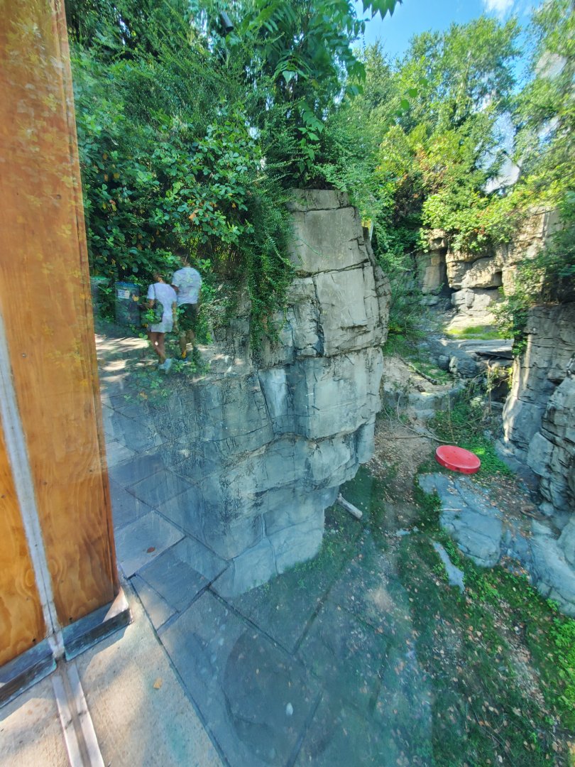 Grizzly Bear Habitat - August 2021