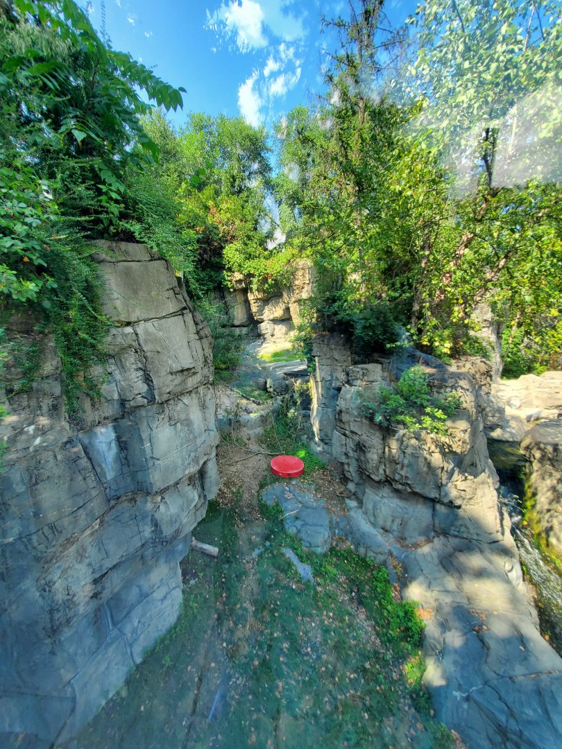 Grizzly Bear Habitat - August 2021