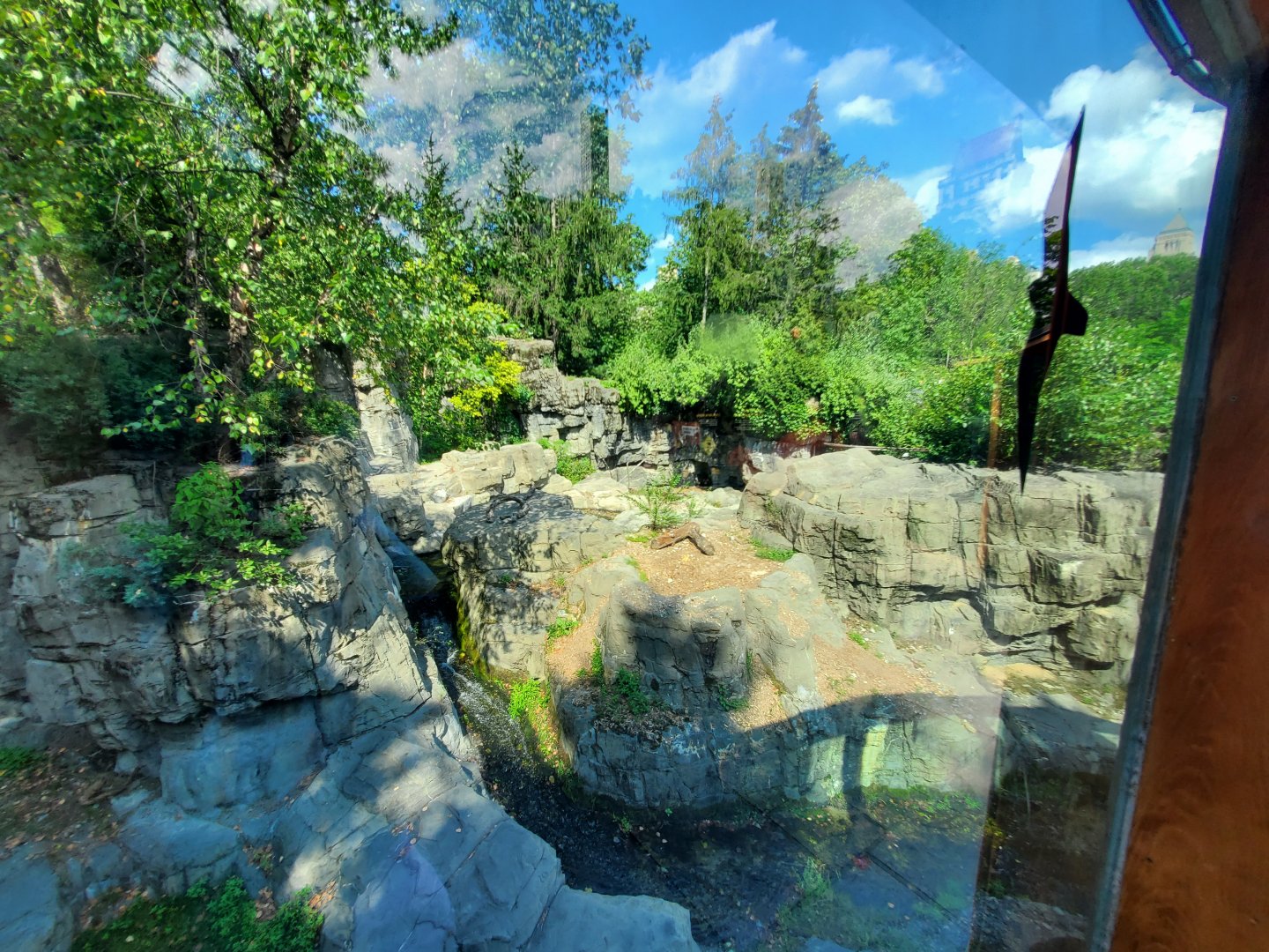 Grizzly Bear Habitat - August 2021