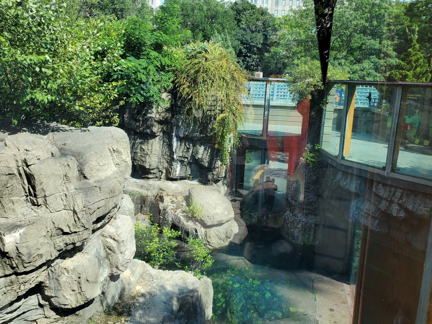 Grizzly Bear Habitat - August 2021