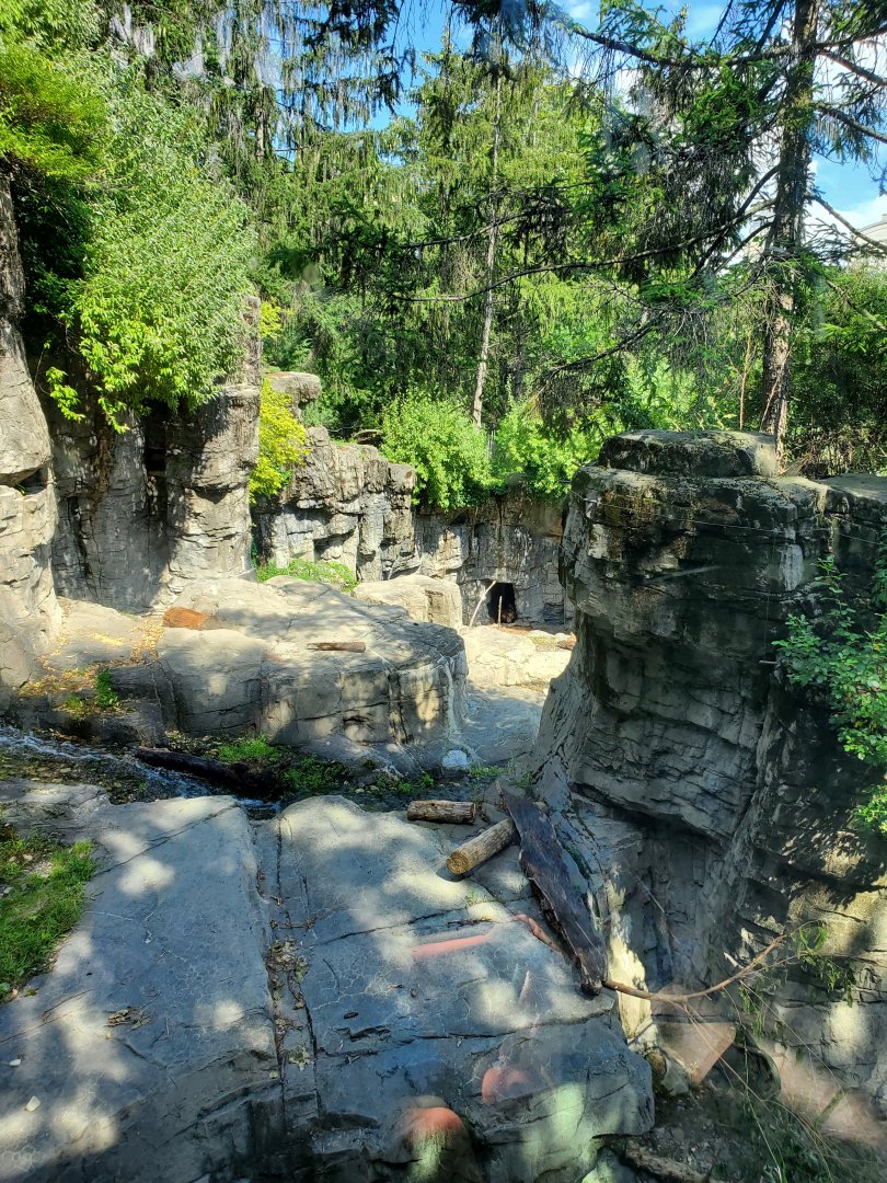 Grizzly Bear Habitat - August 2021