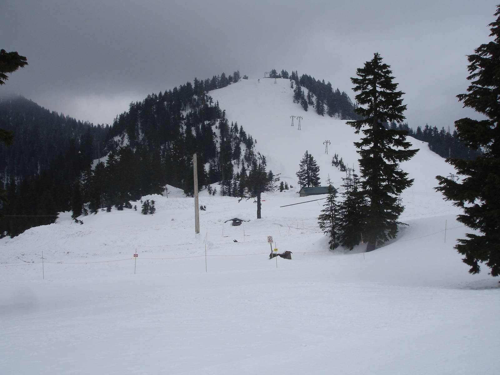 Grizzly Bear Habitat