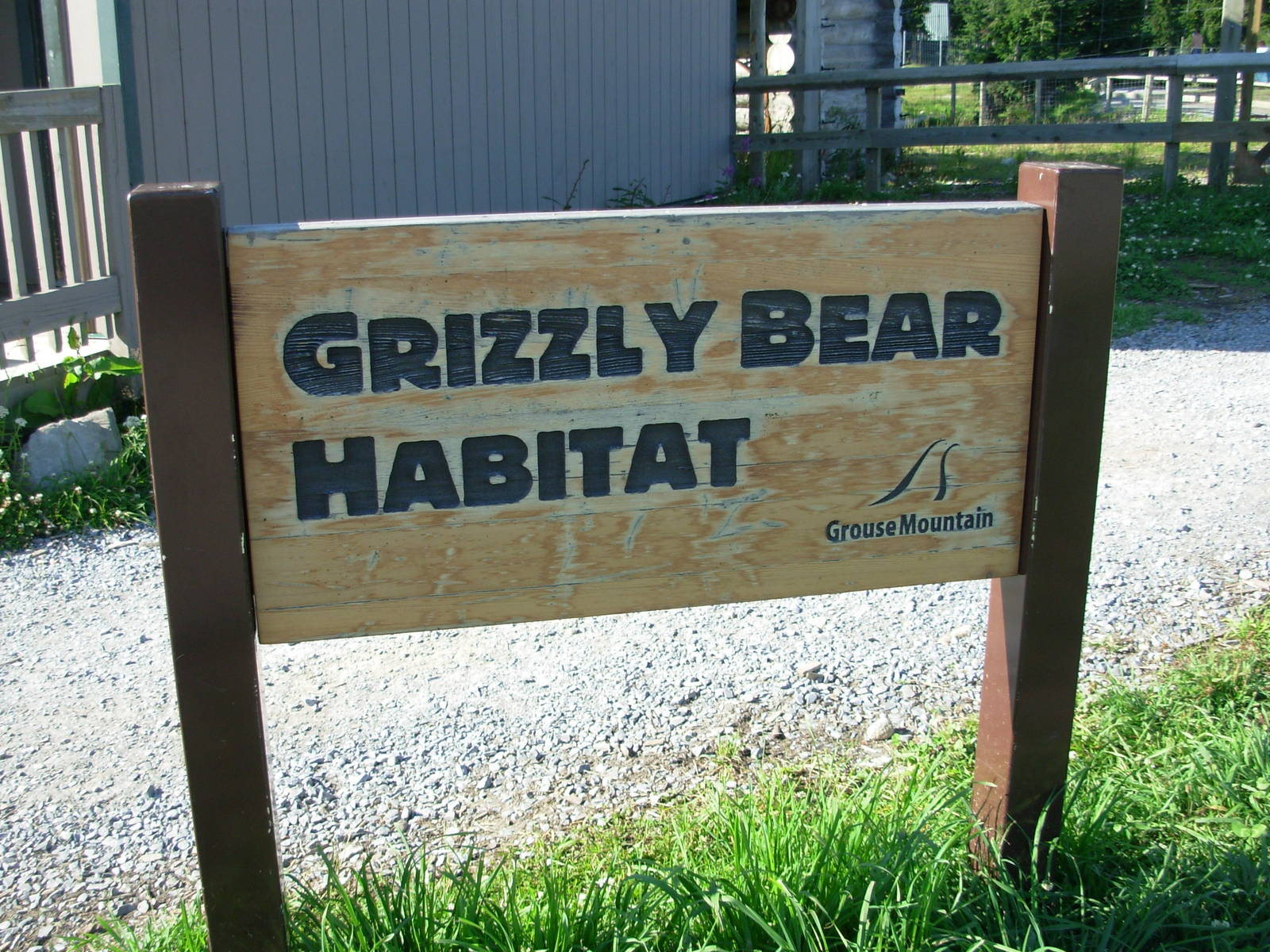 Grizzly Bear Habitat
