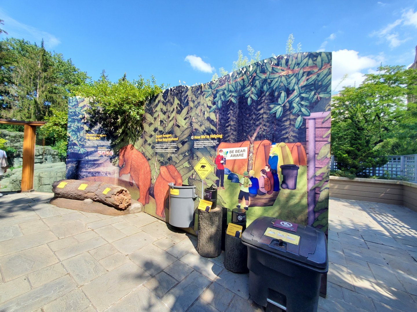 Grizzly Bear Interpretive - August 2021