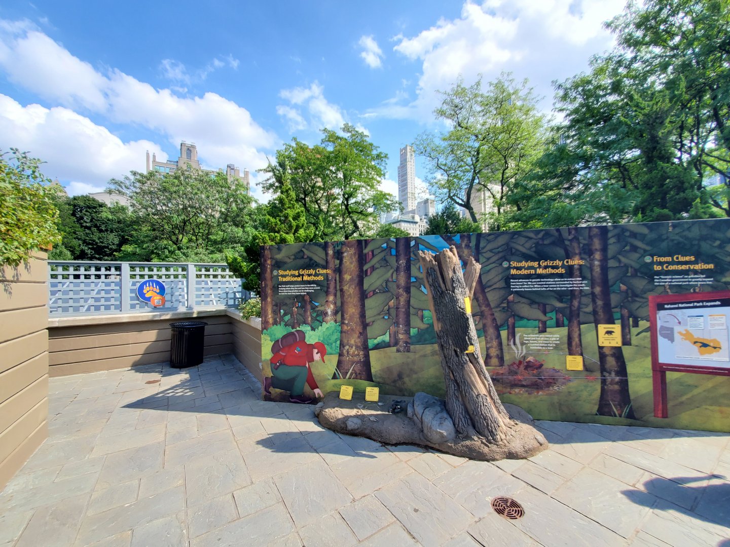 Grizzly Bear Interpretives - August 2021