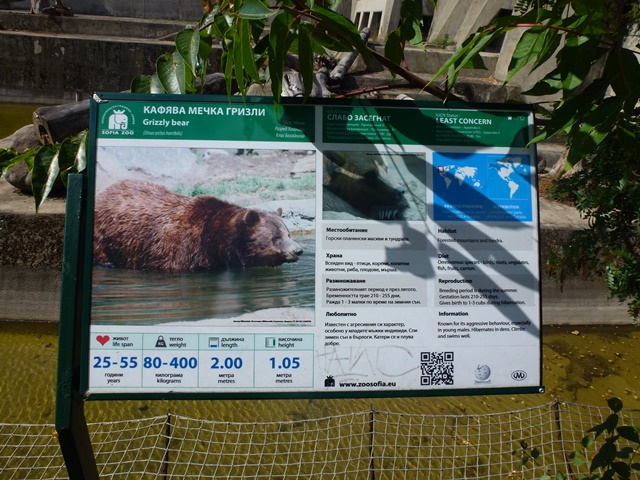 Grizzly bear sign 15.9.13