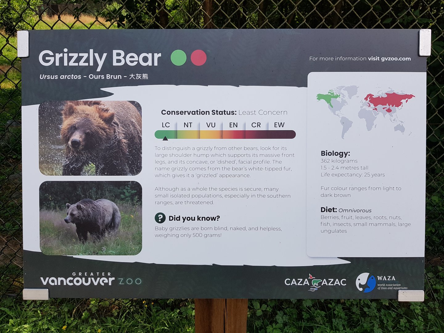 Grizzly Bear Sign
