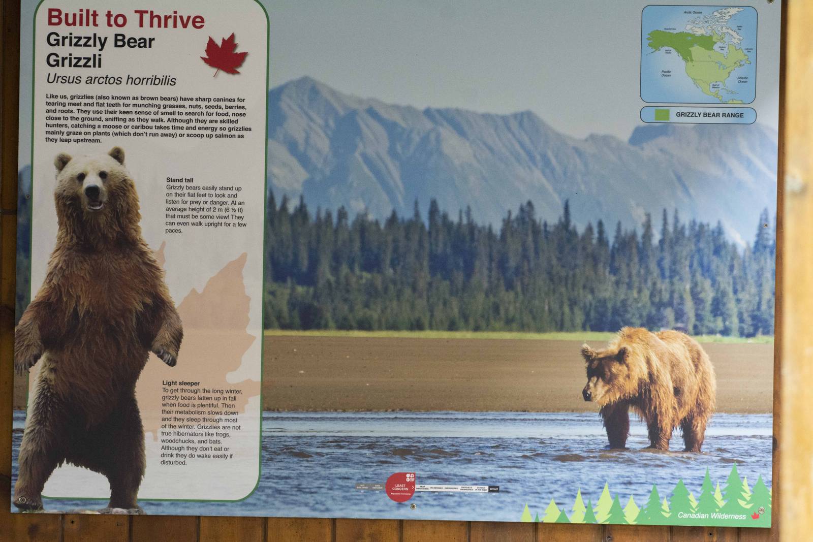 Grizzly Bear Signage 02