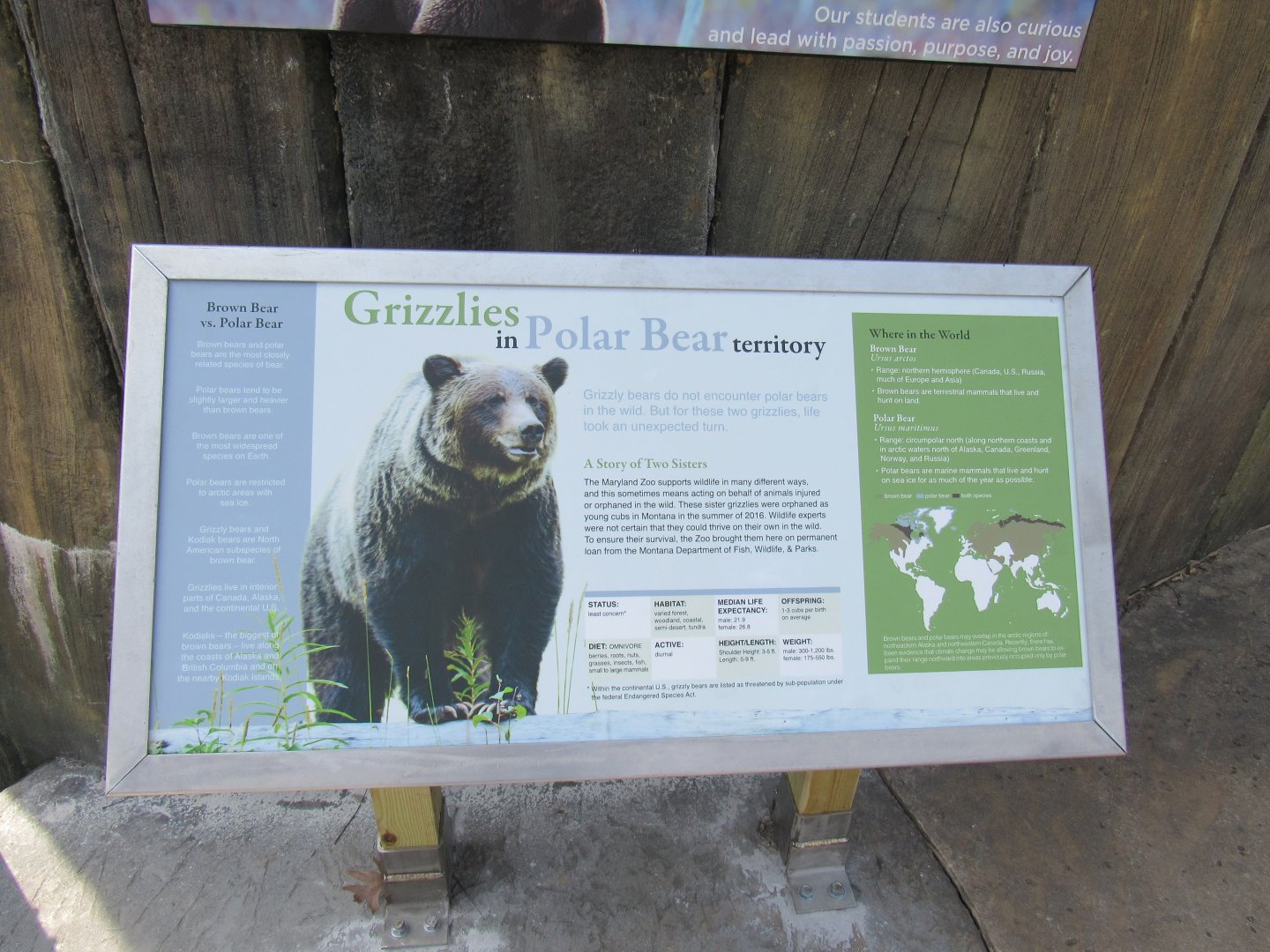 Grizzly bear signage
