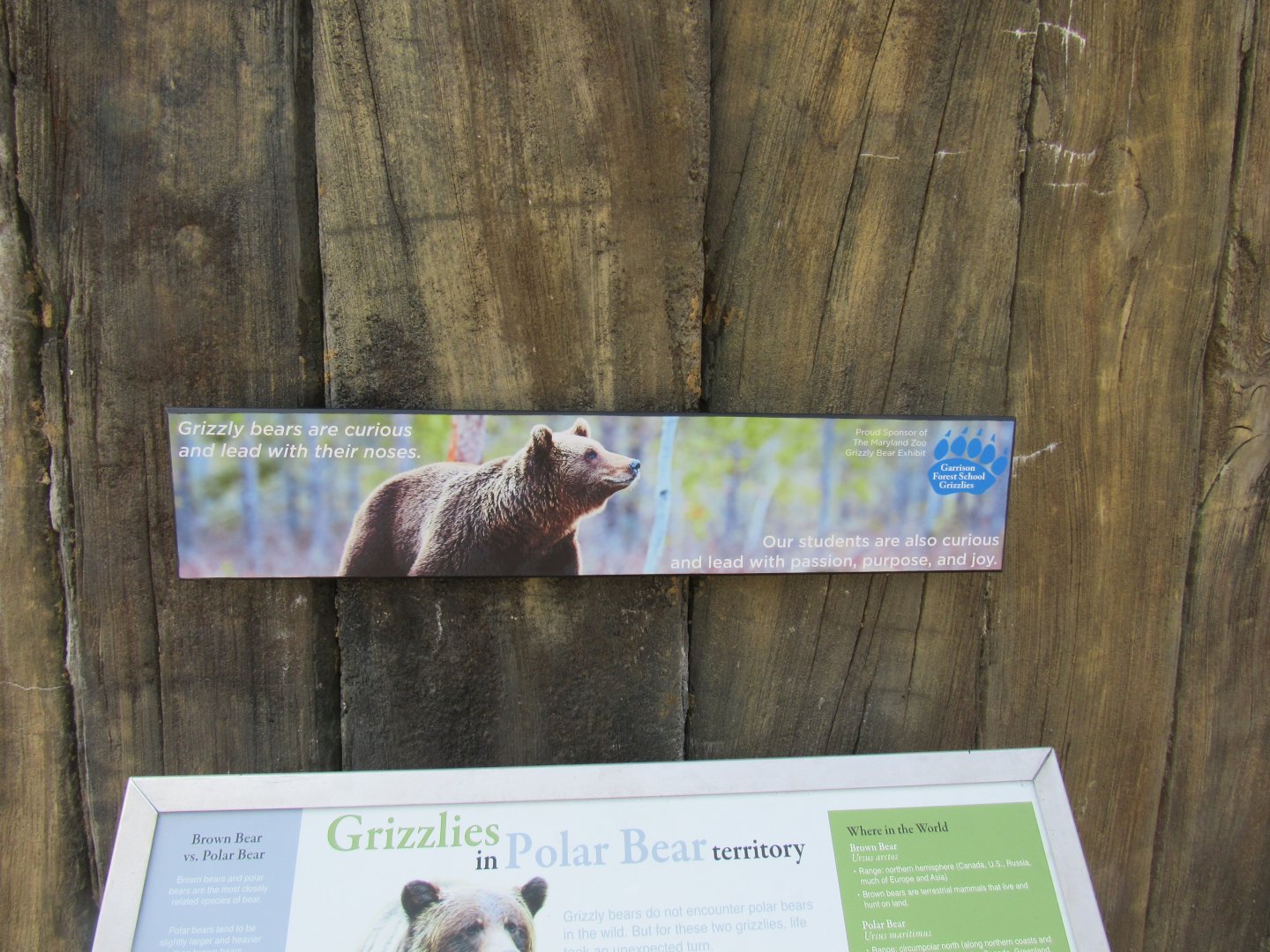 Grizzly bear signage