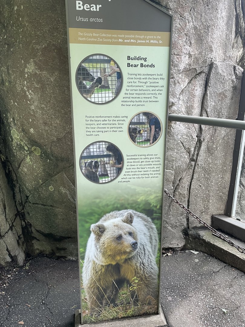 Grizzly Bear Signage