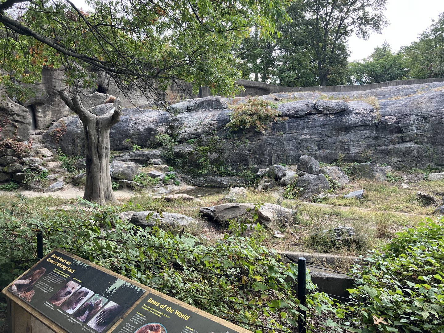Grizzly Bear/Sitka Brown Bear Exhibit