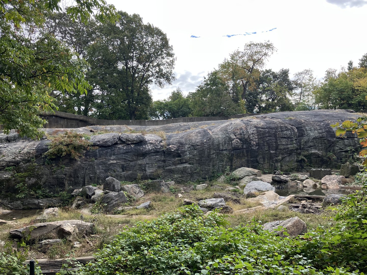 Grizzly Bear/Sitka Brown Bear Exhibit