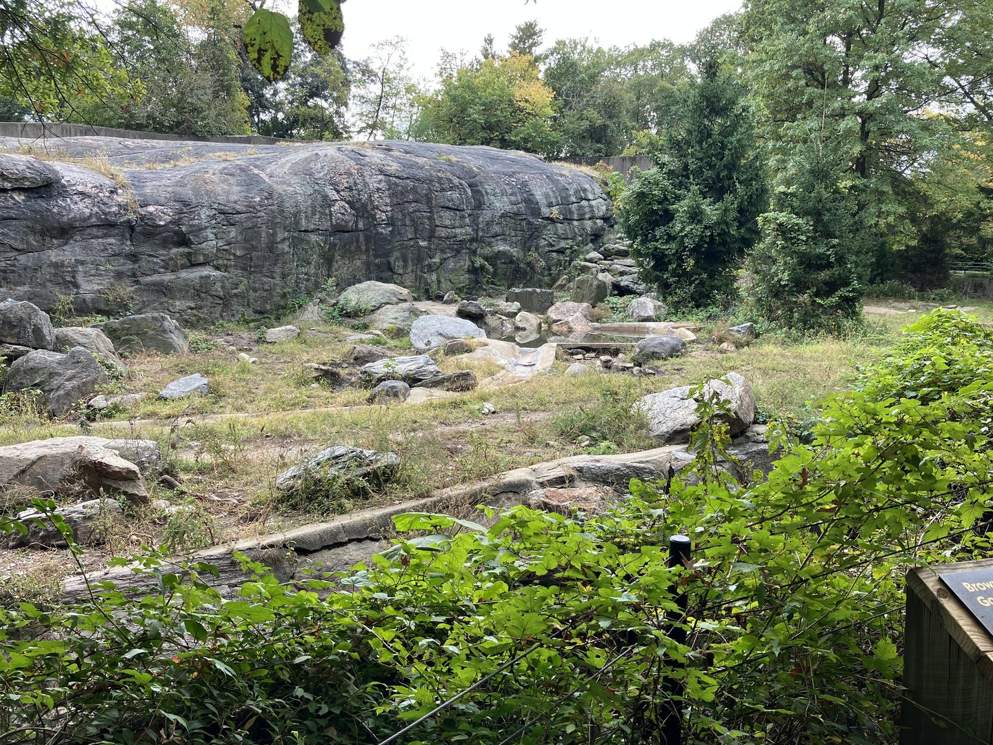 Grizzly Bear/Sitka Brown Bear Exhibit