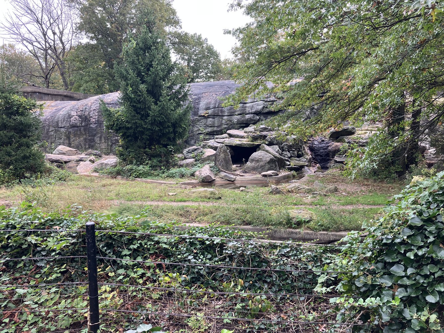 Grizzly Bear/Sitka Brown Bear Exhibit