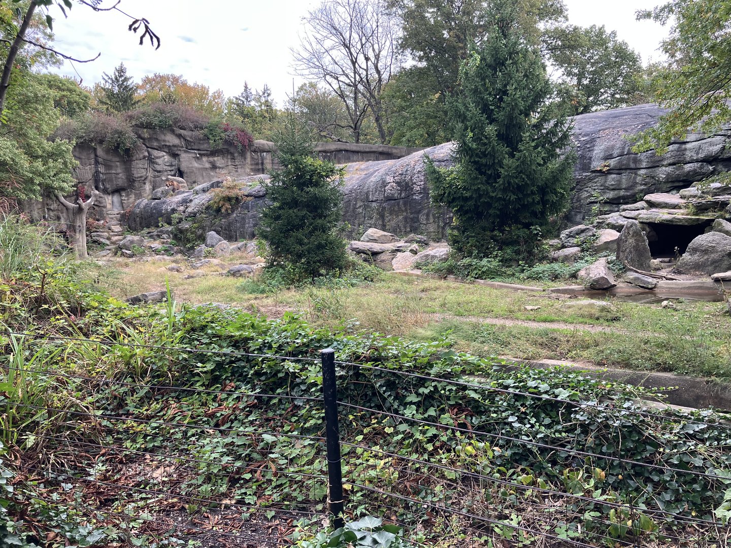 Grizzly Bear/Sitka Brown Bear Exhibit