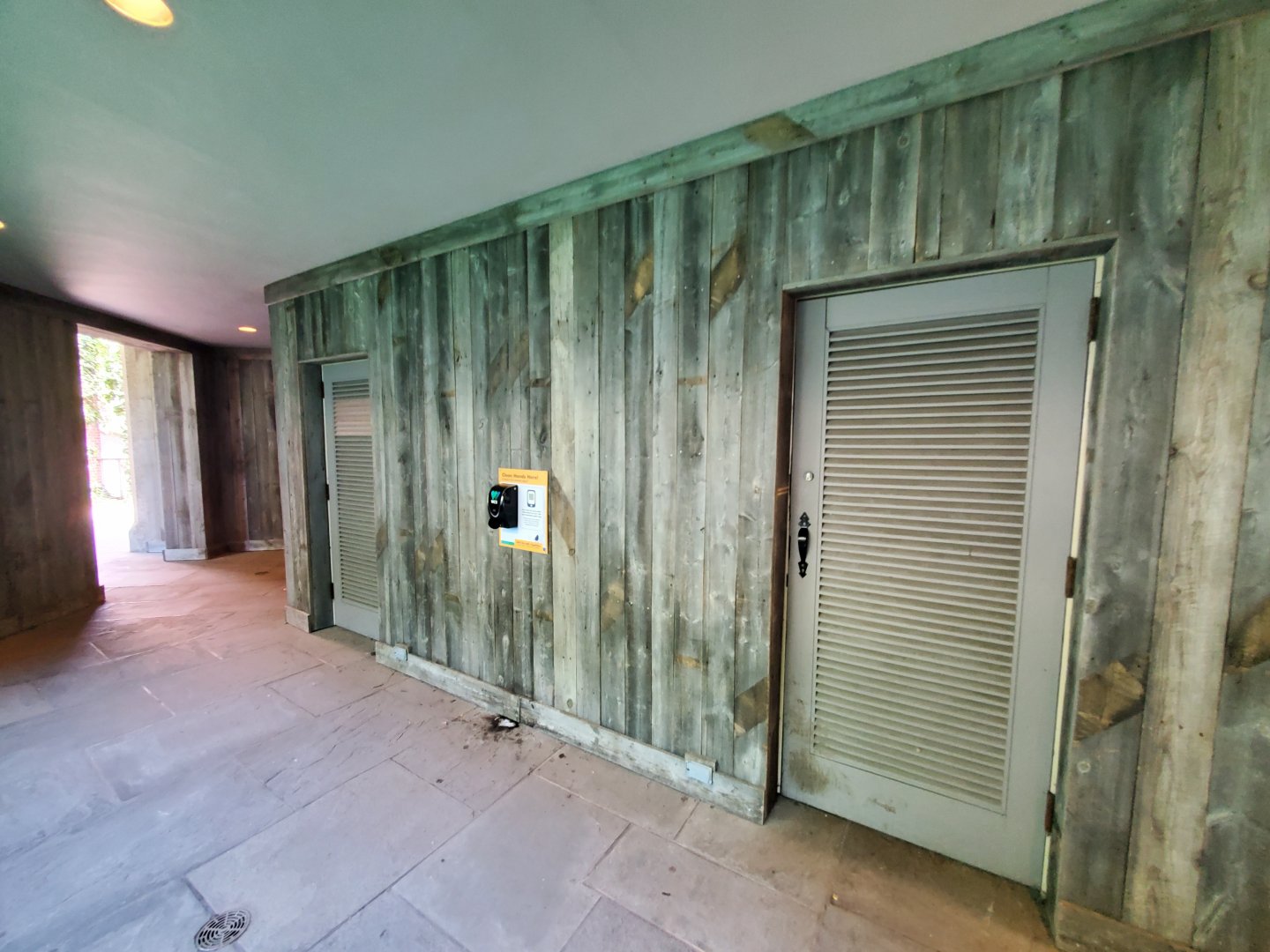 Grizzly Bear Underwater Viewing Area - August 2021