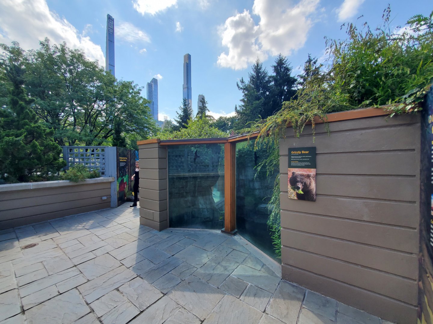 Grizzly Bear Viewing Area - August 2021