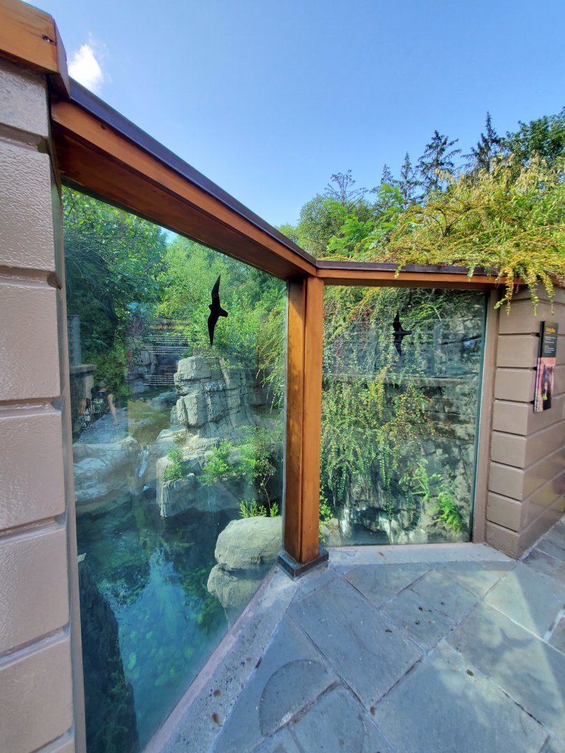 Grizzly Bear Viewing Area - August 2021