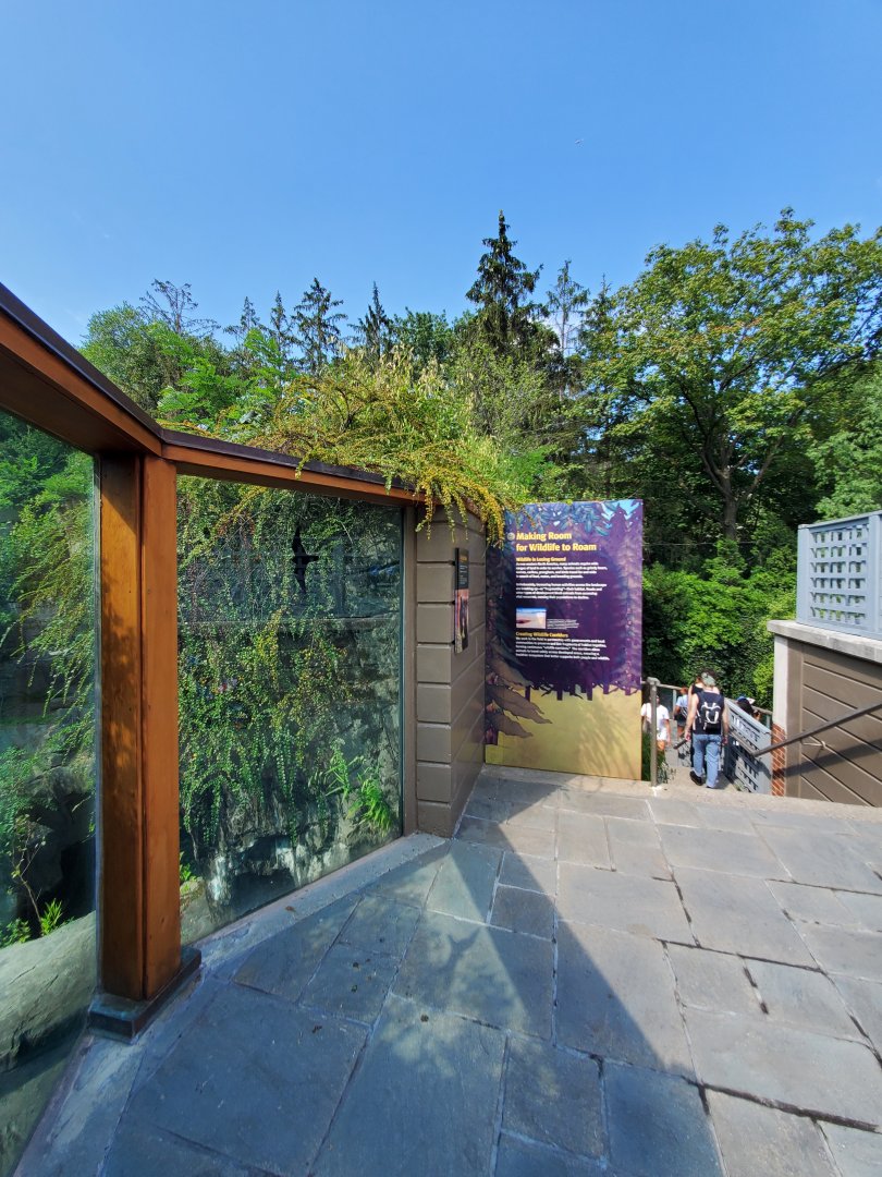 Grizzly Bear Viewing Area - August 2021