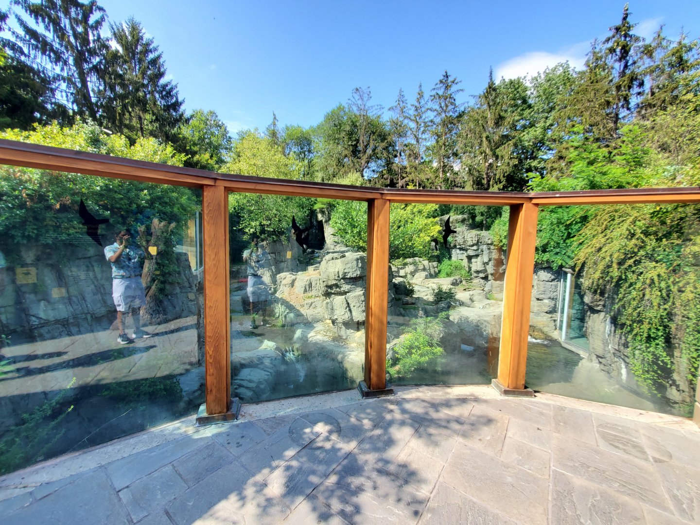 Grizzly Bear Viewing Area - August 2021