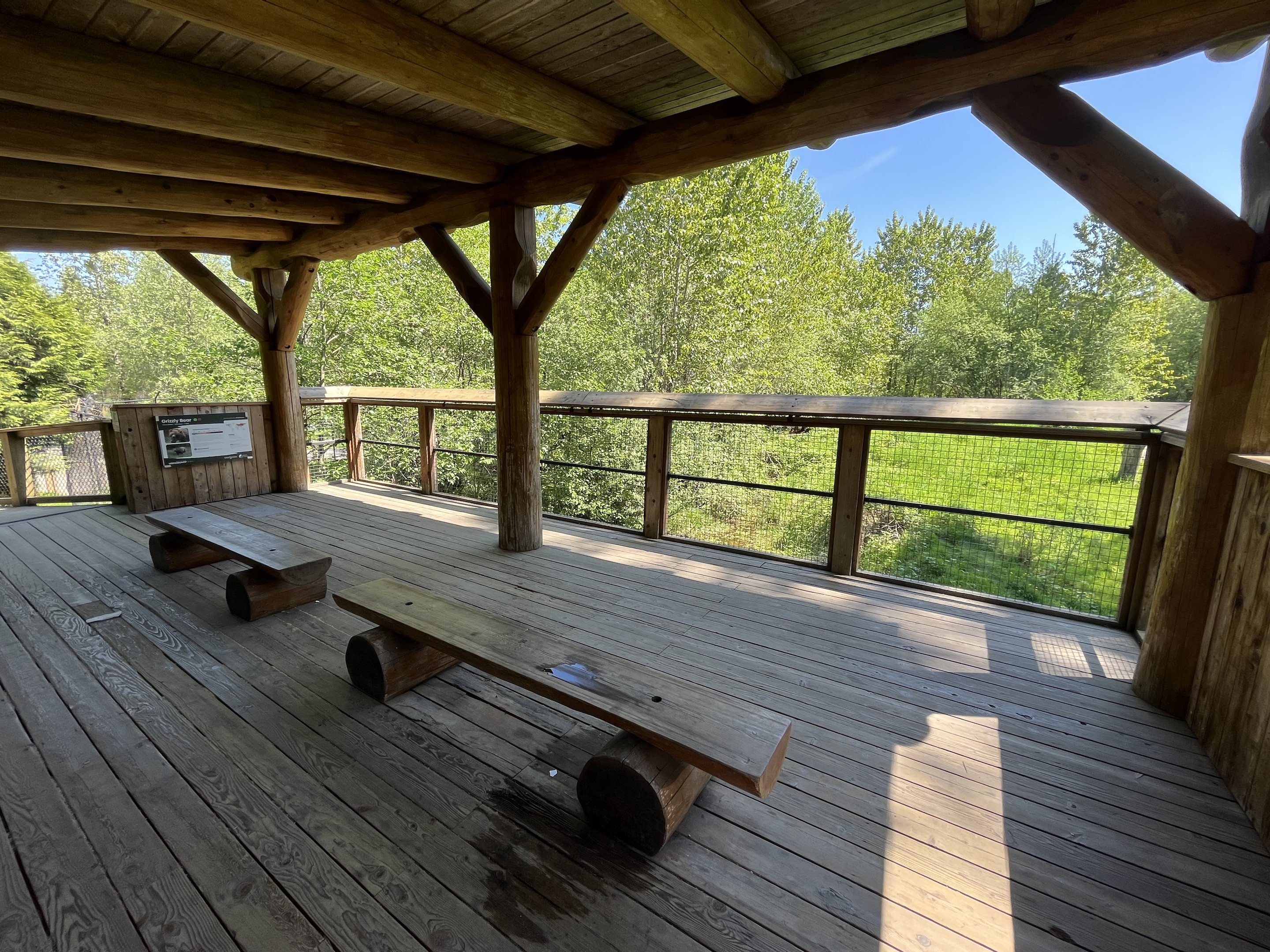 Grizzly Bear Viewing Deck