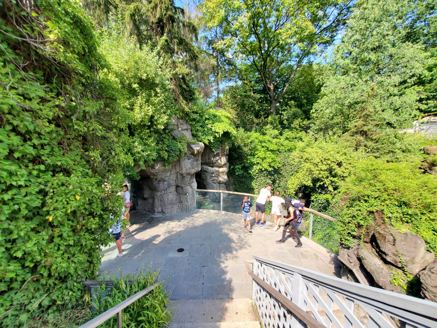 Grizzly Bear Viewing/Harbor Seal Overlook - August 2021
