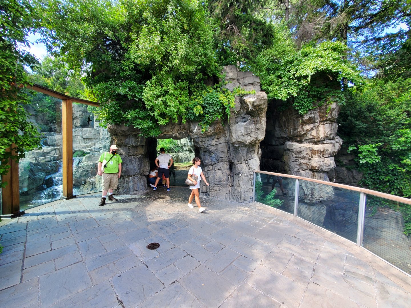 Grizzly Bear Viewing/Harbor Seal Overlook - August 2021