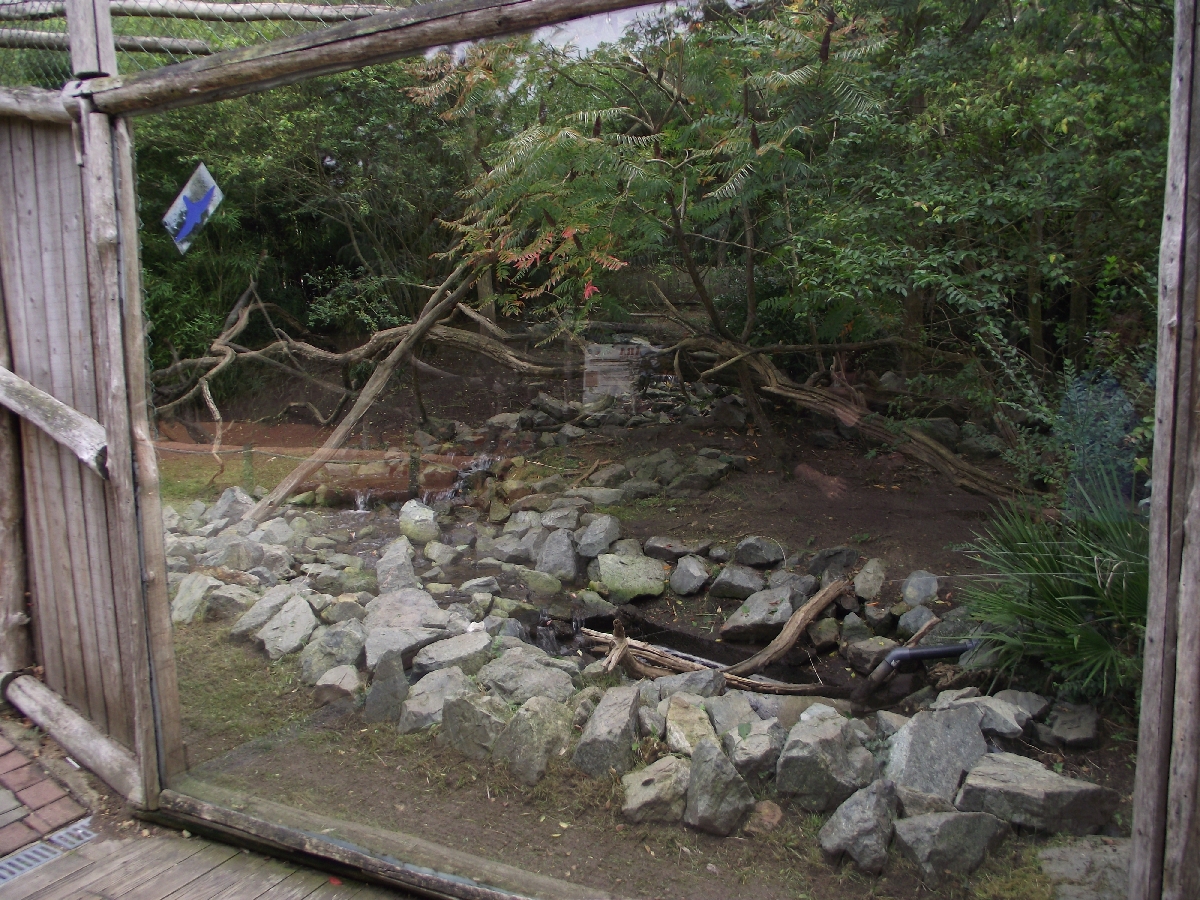 Grizzly Bear Viewing