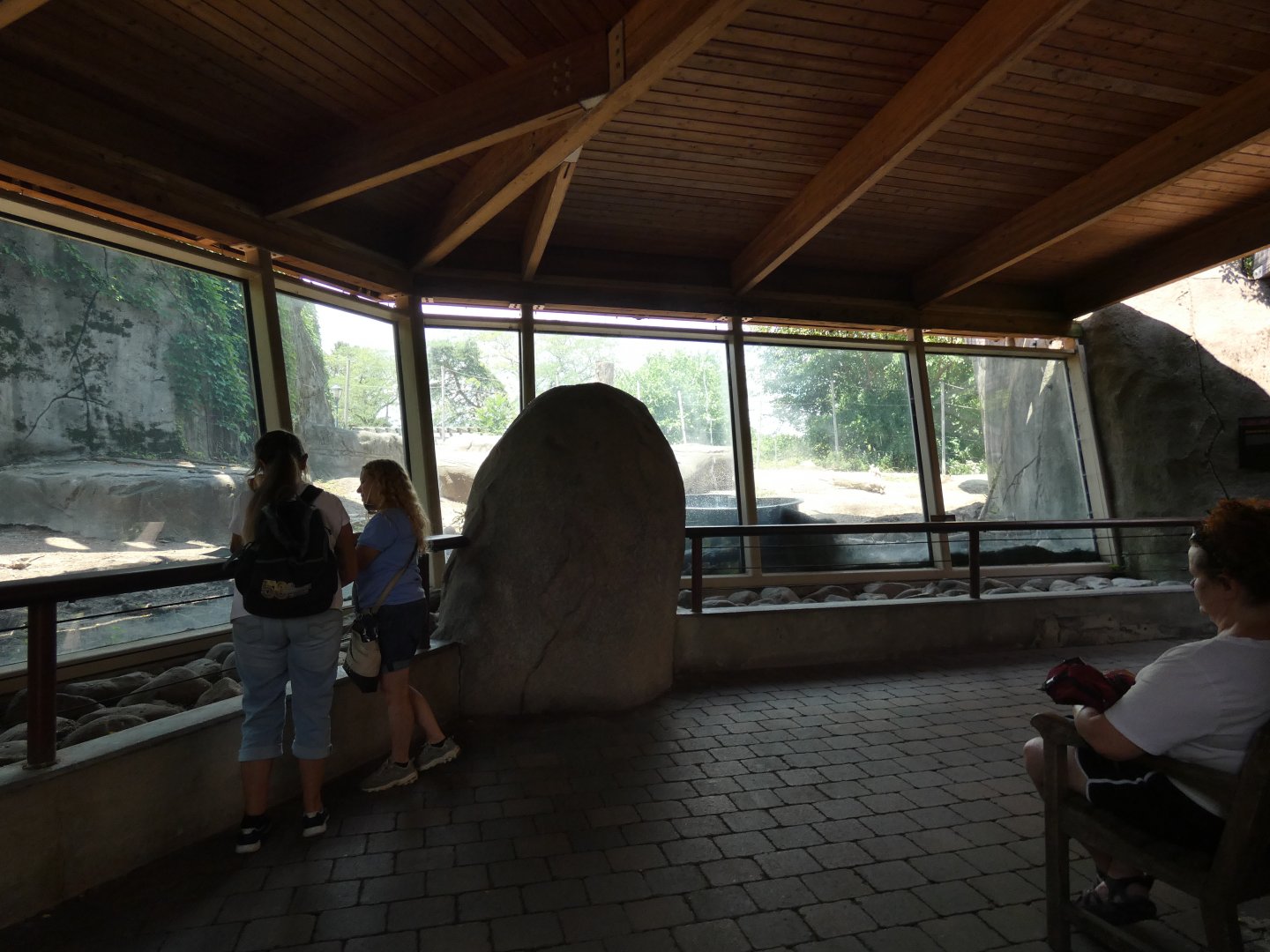 Grizzly Exhibit, Tembo Trail - July 2021