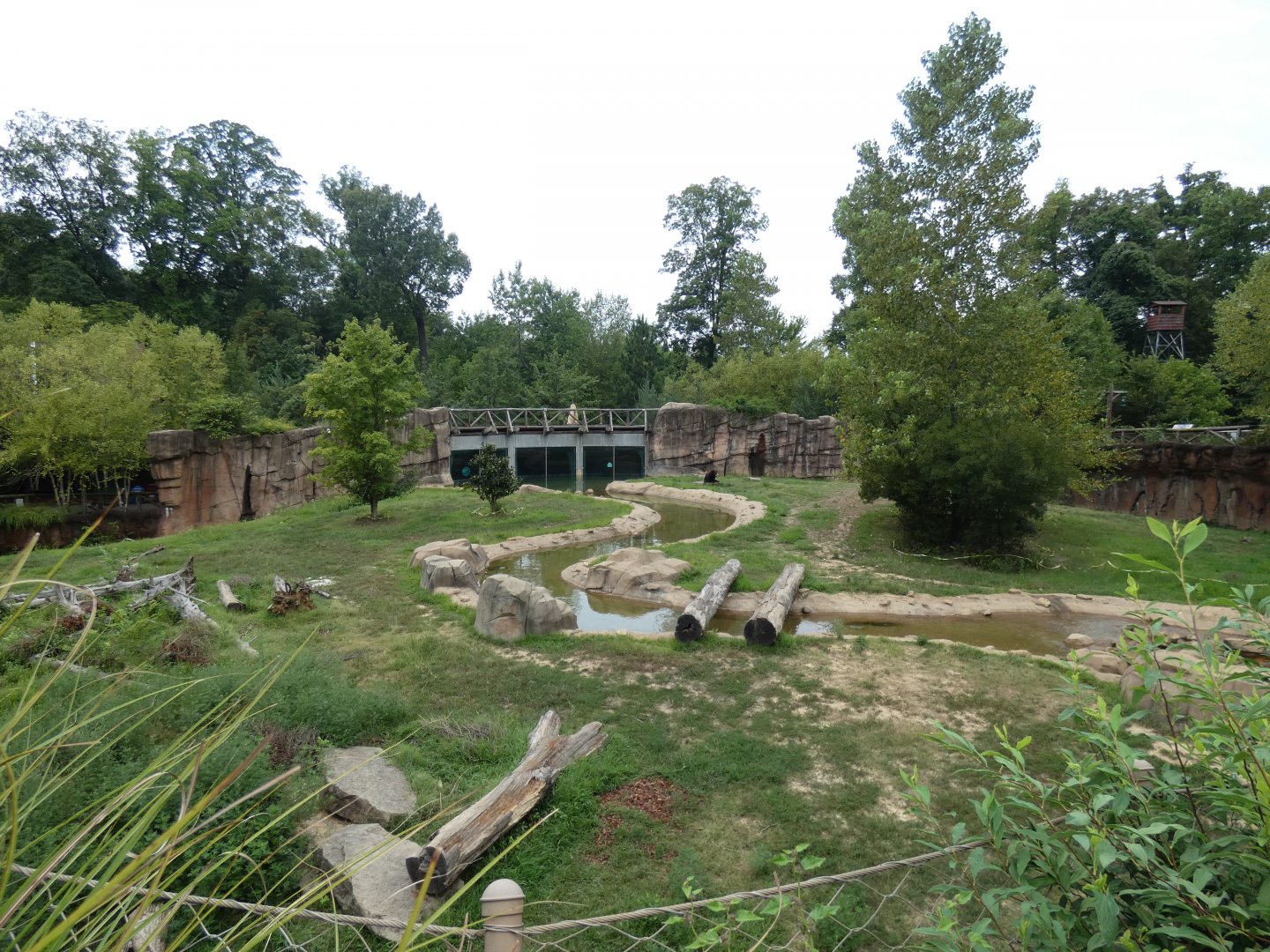 Grizzly Exhibit, Teton Trek, Aug. 2020