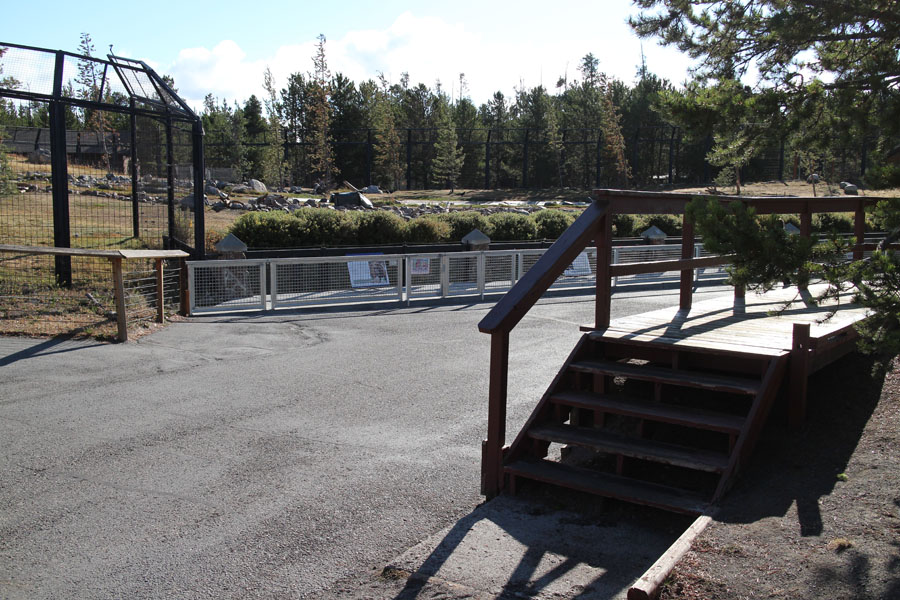 grizzly exhibit viewing platform