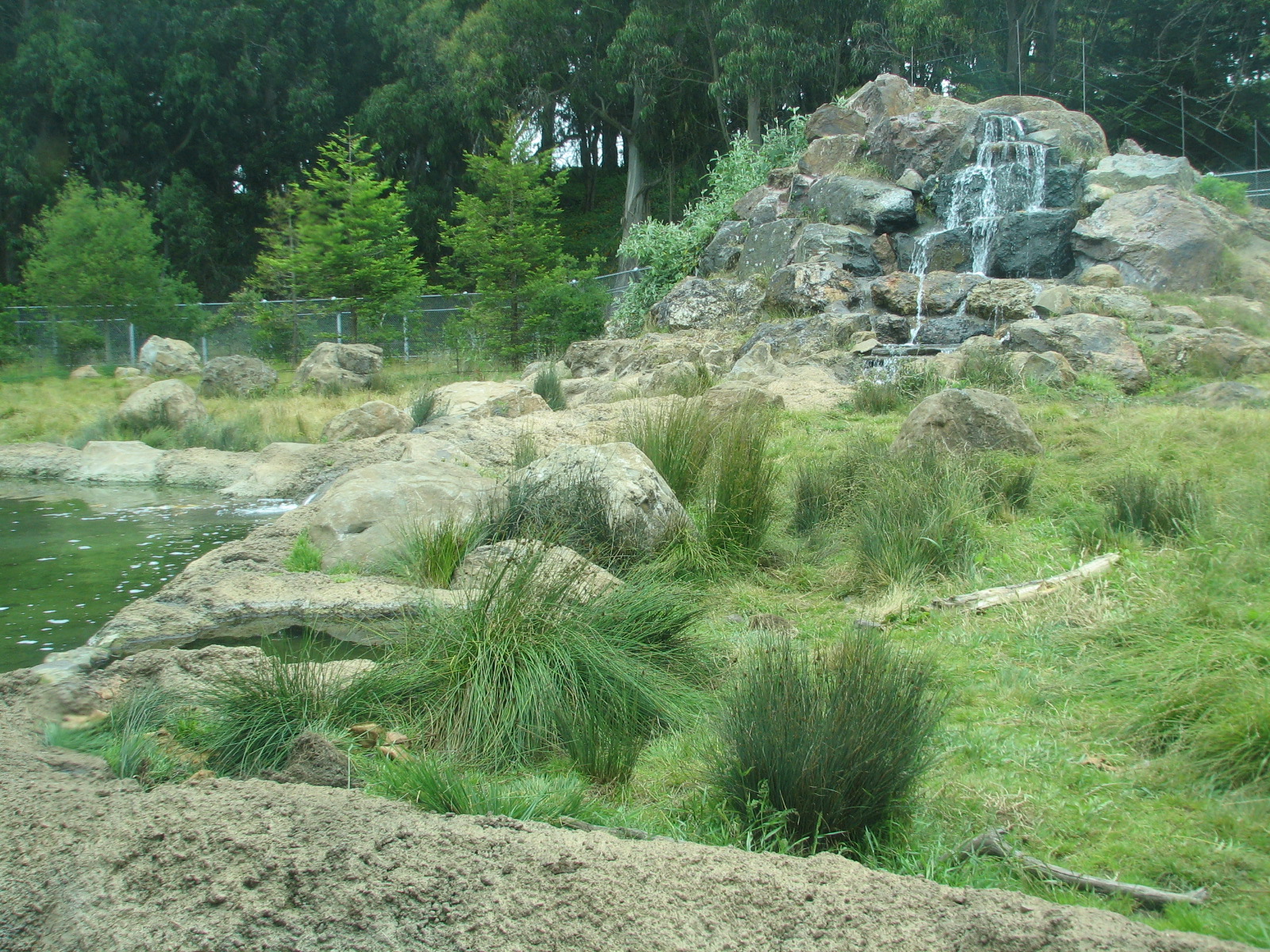 Grizzly Gulch - Habitat