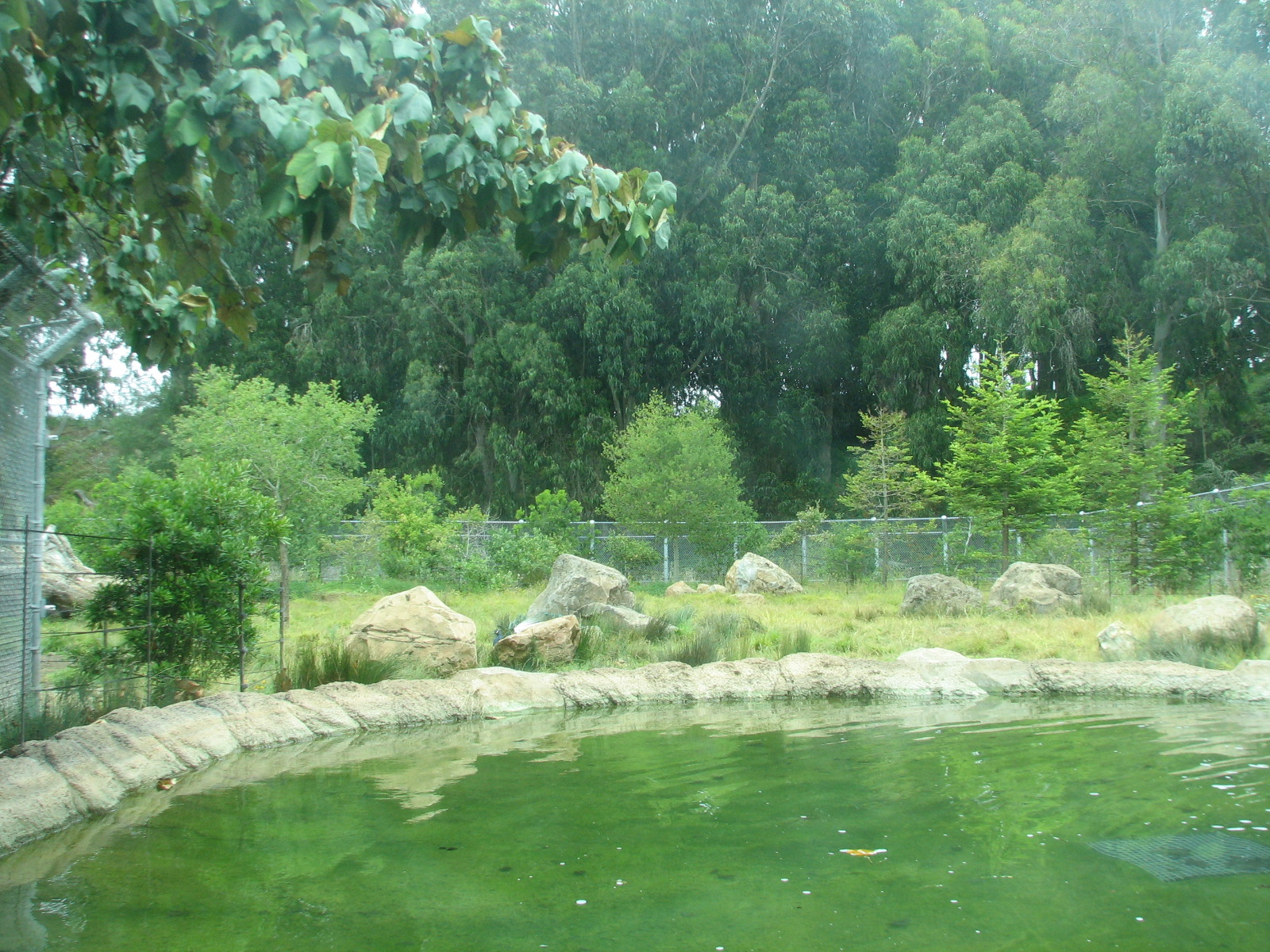 Grizzly Gulch - Habitat