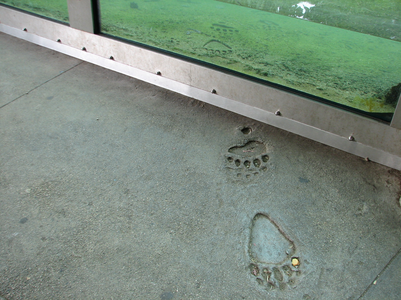 Grizzly Gulch - Paving Detail