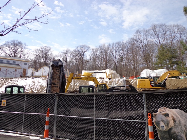 Grizzly Ridge Construction 2013.02.10