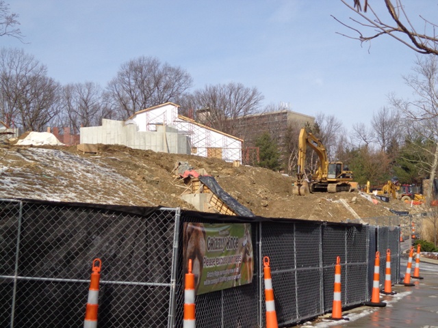 Grizzly Ridge Construction 2013.02.10